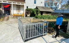 Cân sàn điện tử 1 tấn